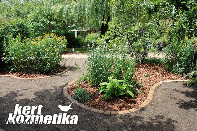 Fűmagok elszórása, bedolgozása után (24)